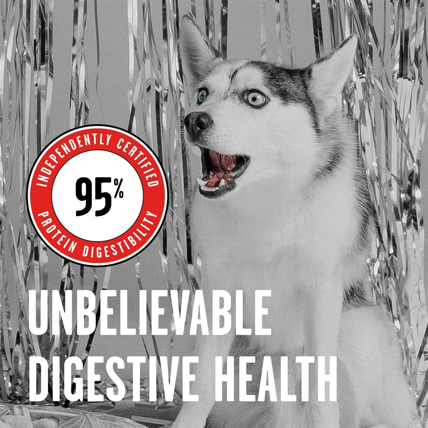 Freeze Dried Beef Dog Food k7