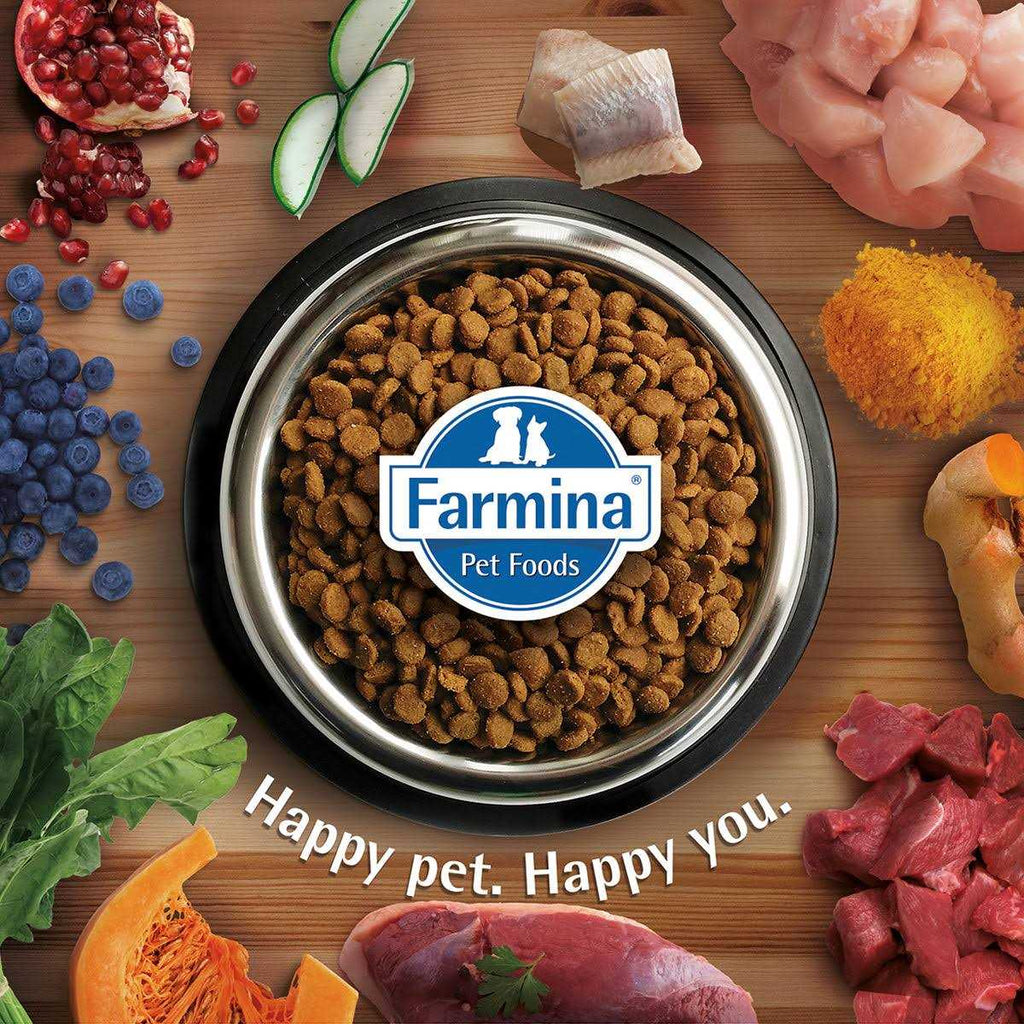 Weight Management Lamb Dry Cat Food k7p