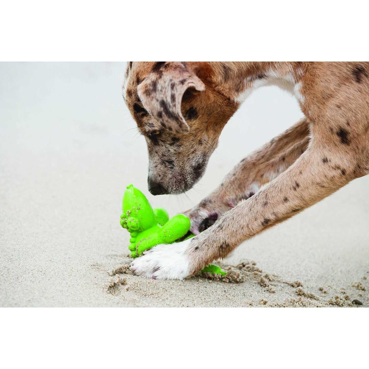 Dog Balloon Toy k7