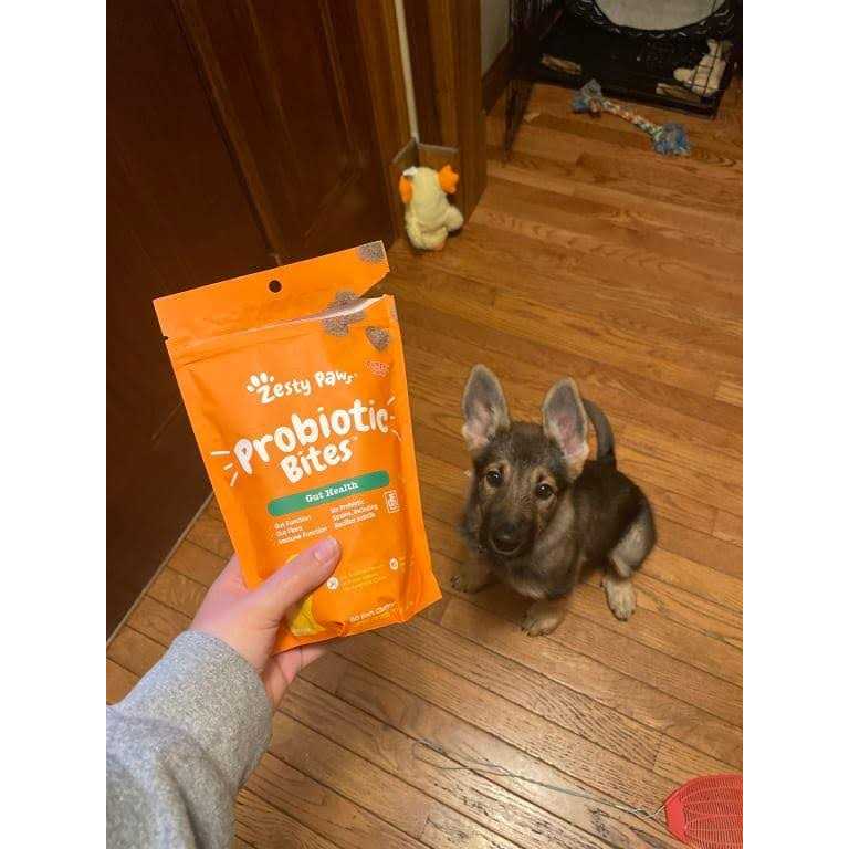 Probiotic Bites for Pets a7