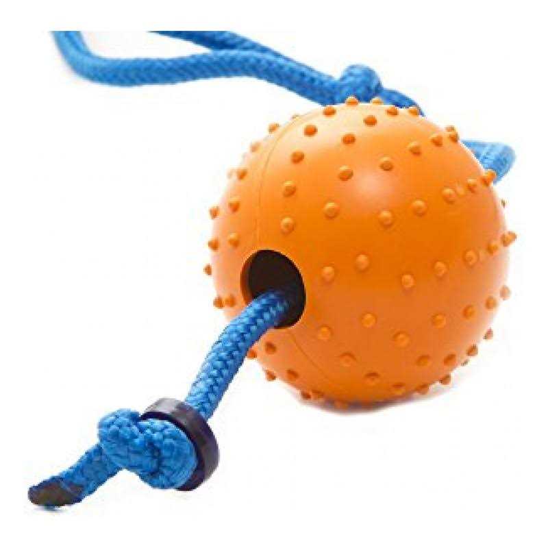 Snitch Squeaker Pet Toy k7x
