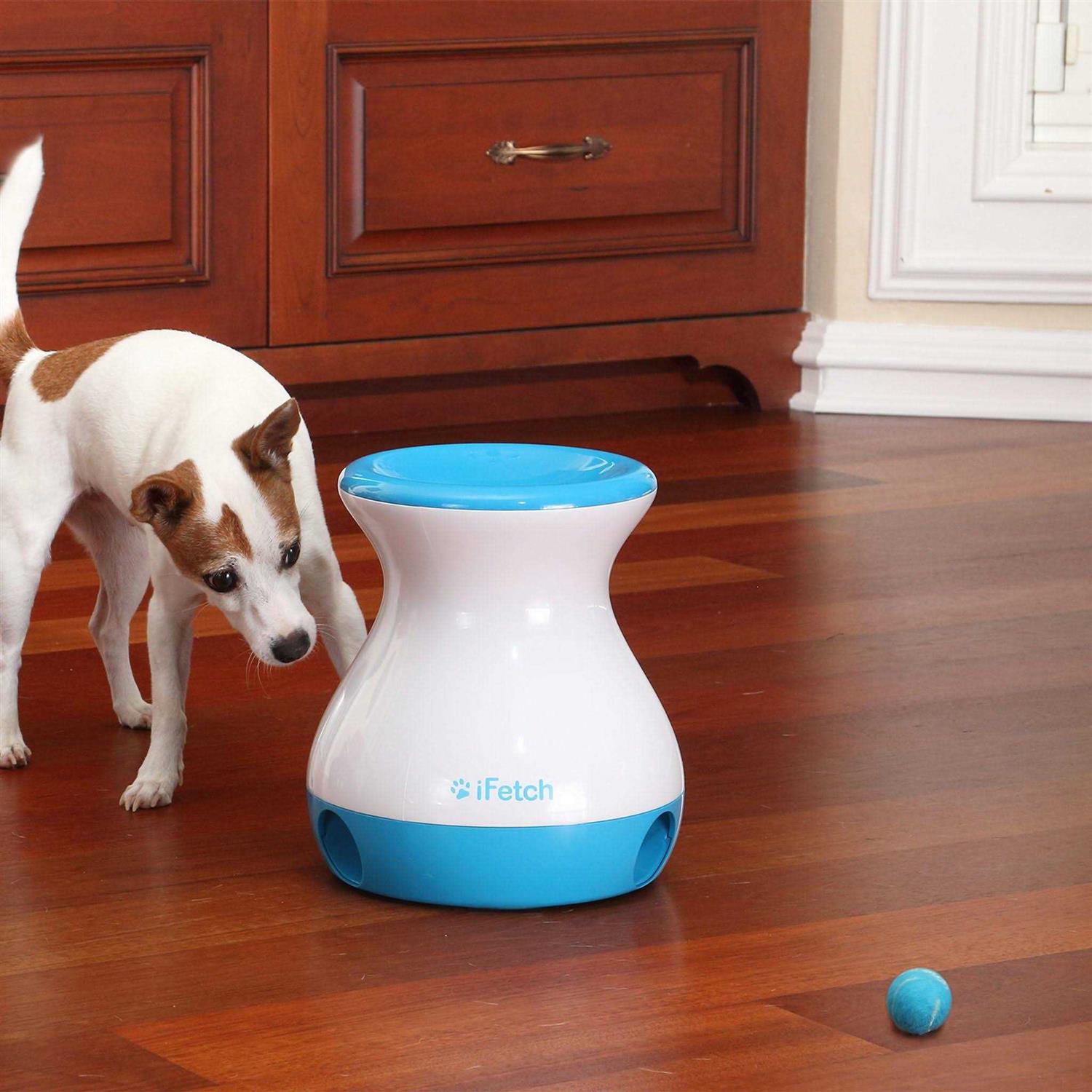 Dog Toy Interactive Fetch Game k7