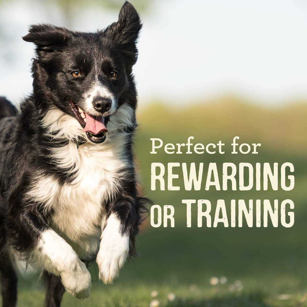 Dog Treats Power Bites k7p