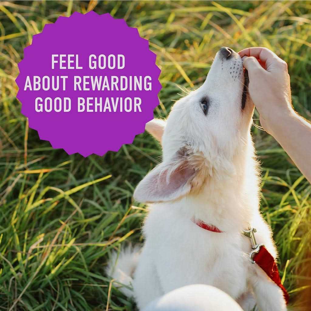 Dog Training Treats Soft Chewy Bites a7
