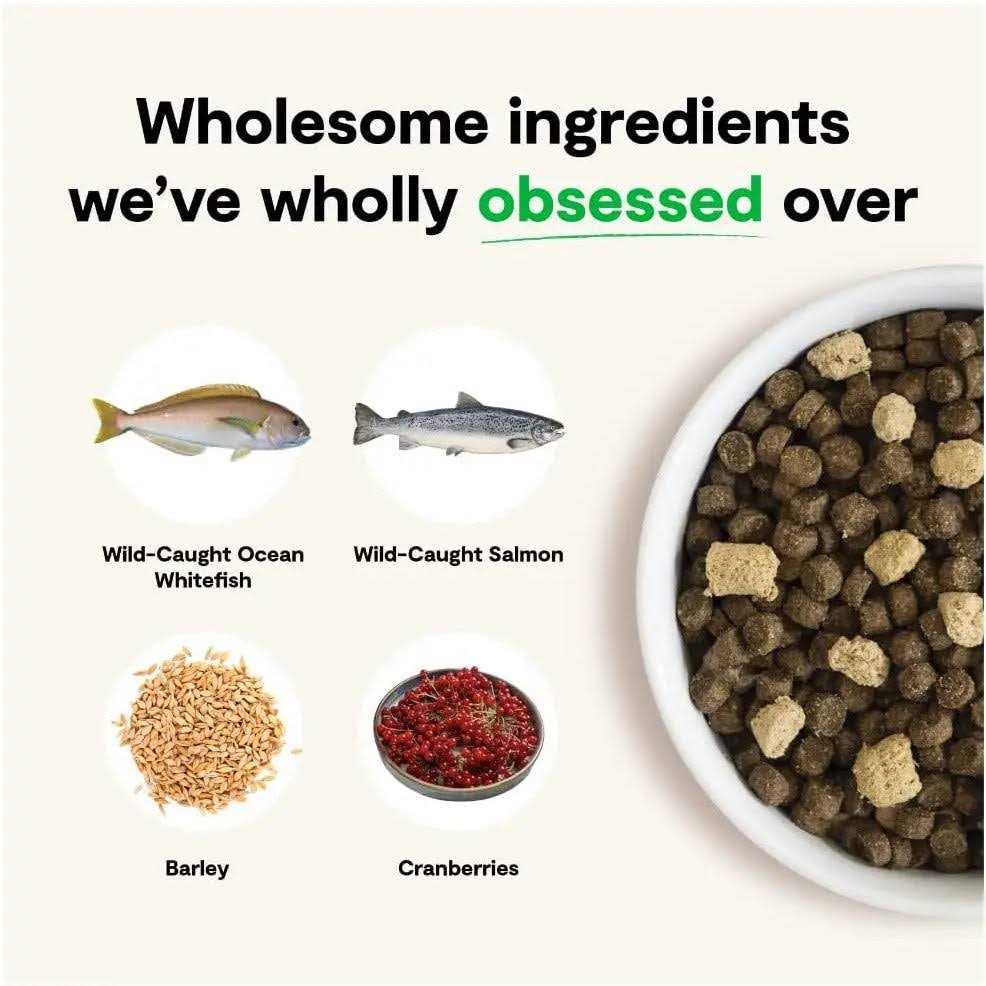 Open Farm Wild Ocean Ancient Grains RawMix Dog Food k7