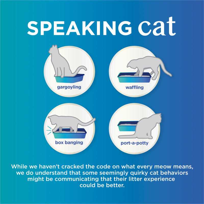 Unscented Clumping Cat Litter k7m