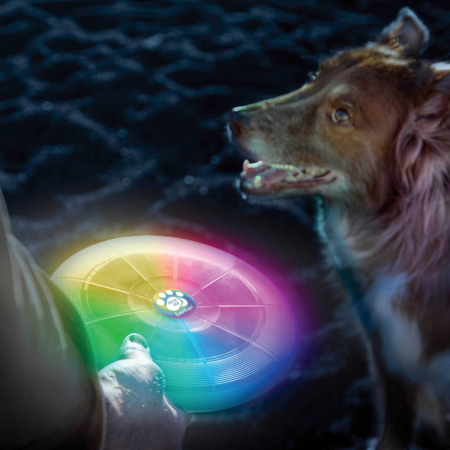 Dog LED Flying Disc k7p
