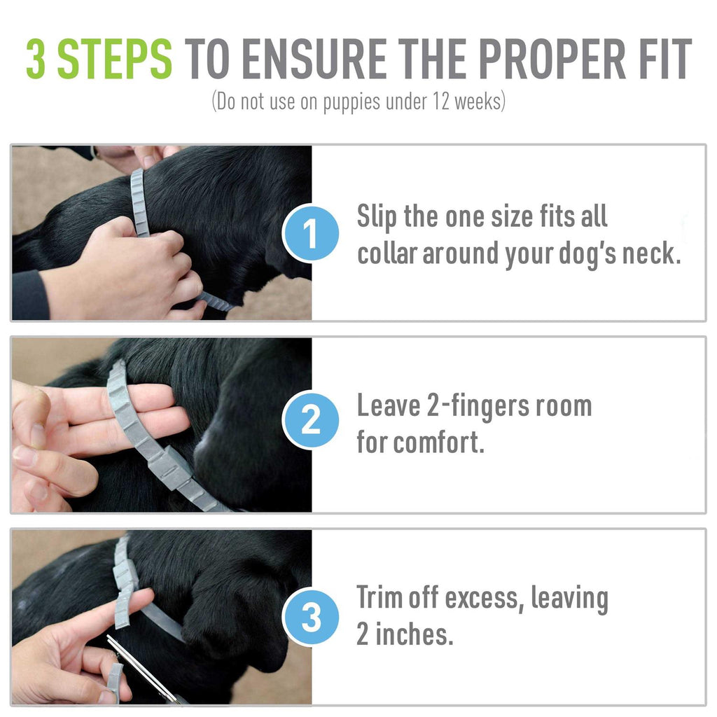 Flea Tick Collar for Dogs Puppies k7m