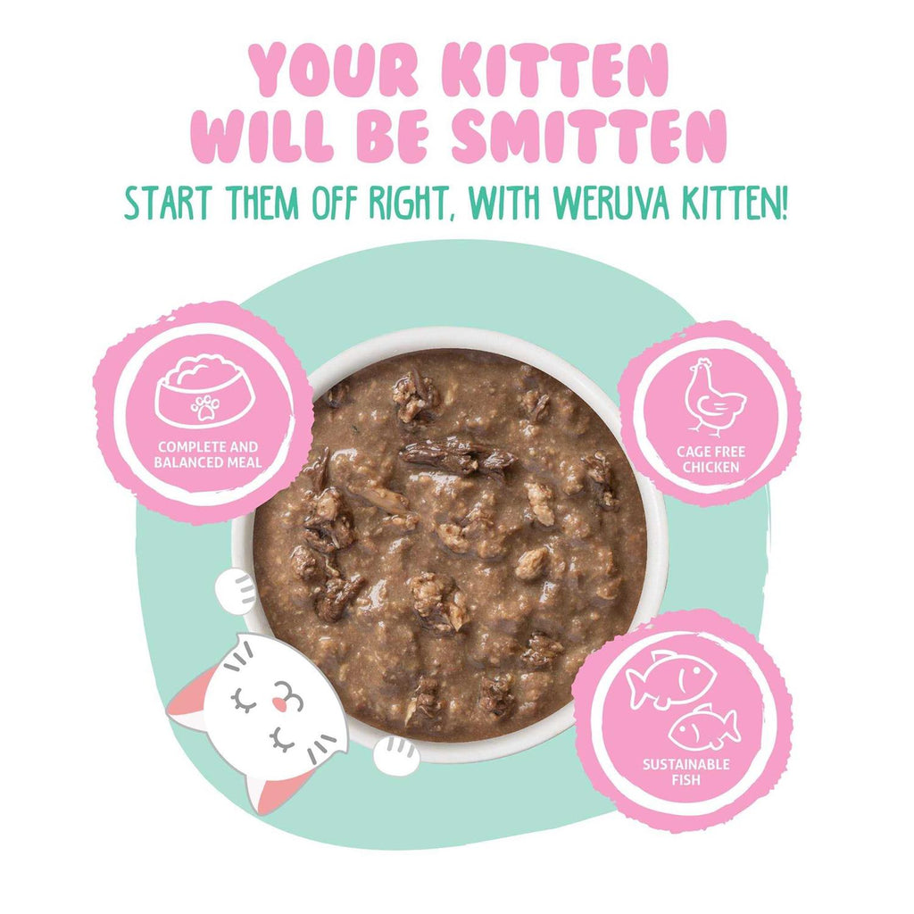 Kitten Chicken & Tuna in Gravy Wet Cat Food a7