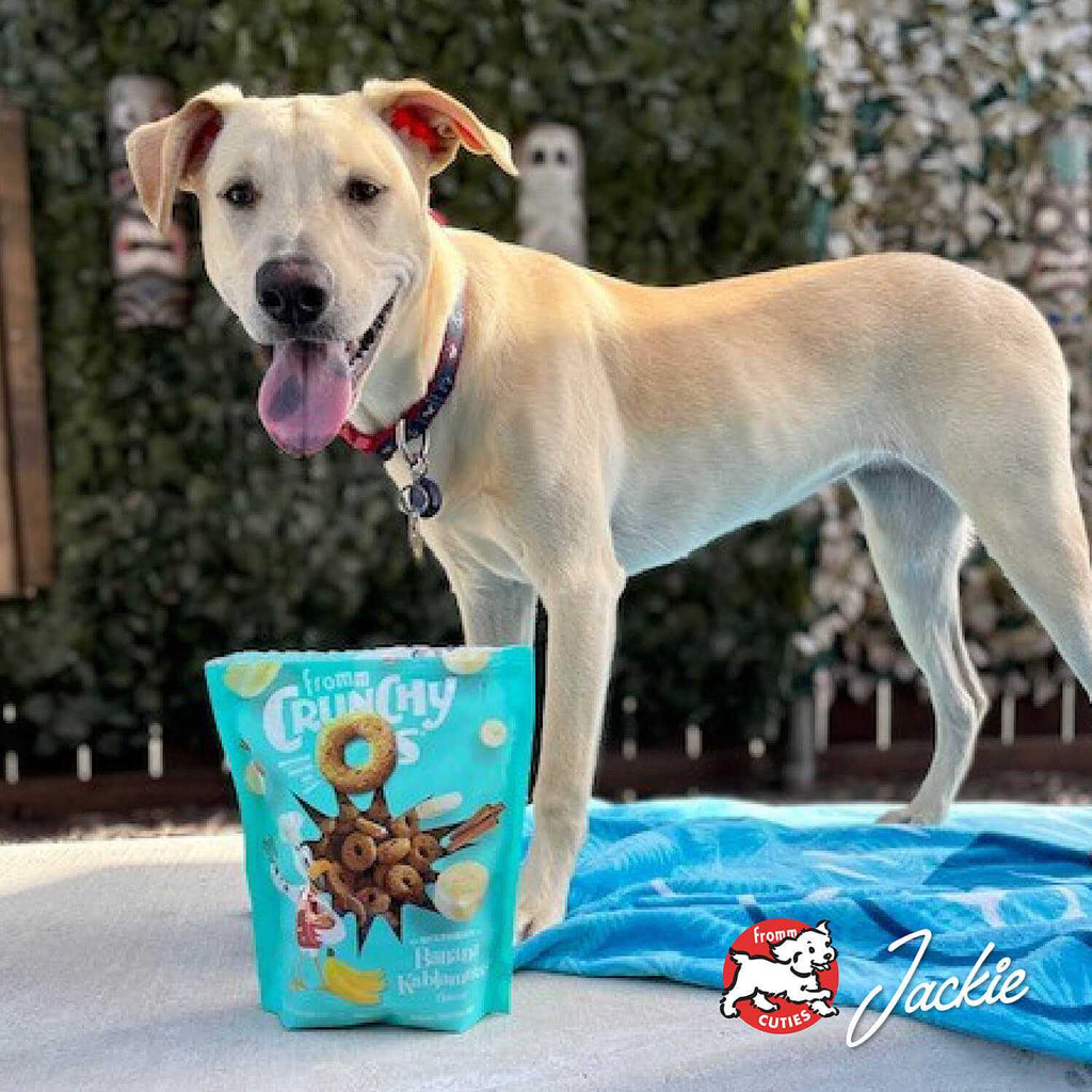 Crunchy O's Dog Treats k7m