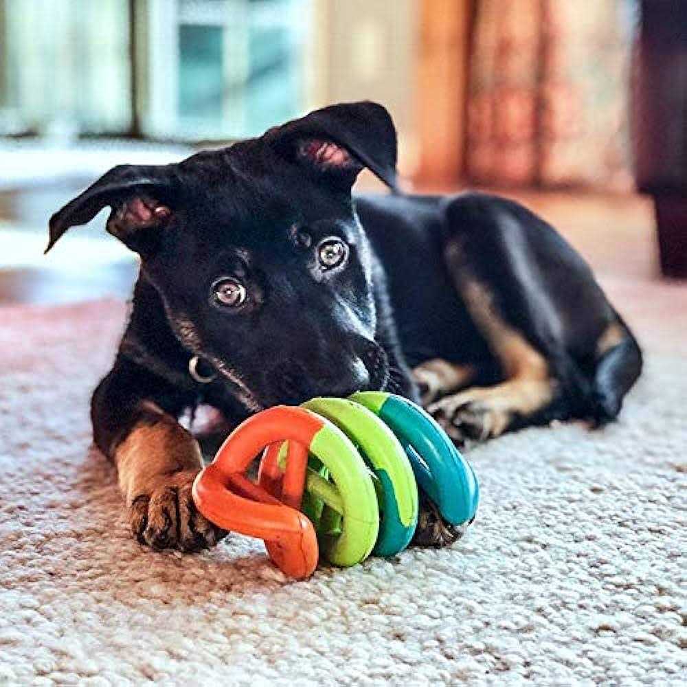 Dog Toy for Active Play k7p
