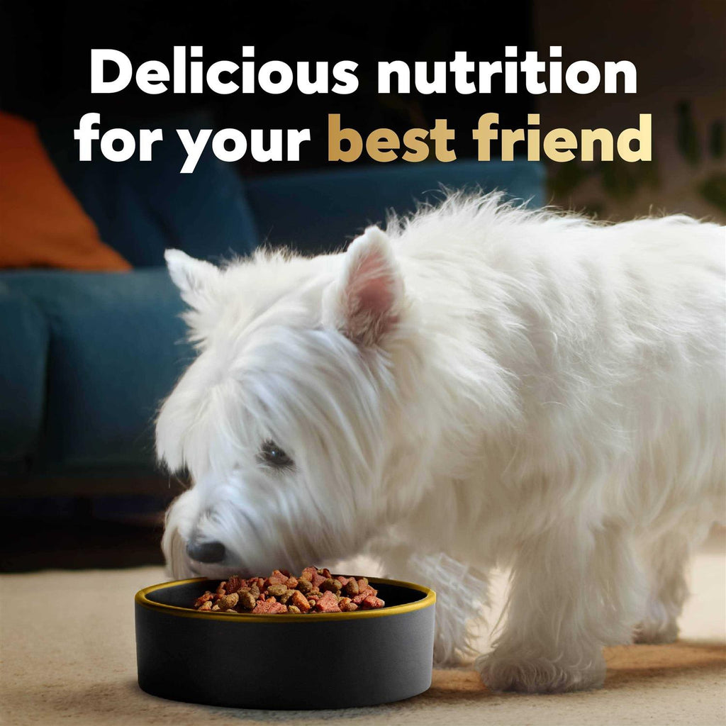 Dry Dog Food for Small Breed Spring Vegetables k7