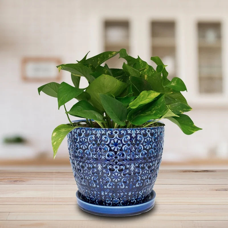 Ceramic Planter 10 Inch Round Blue a7