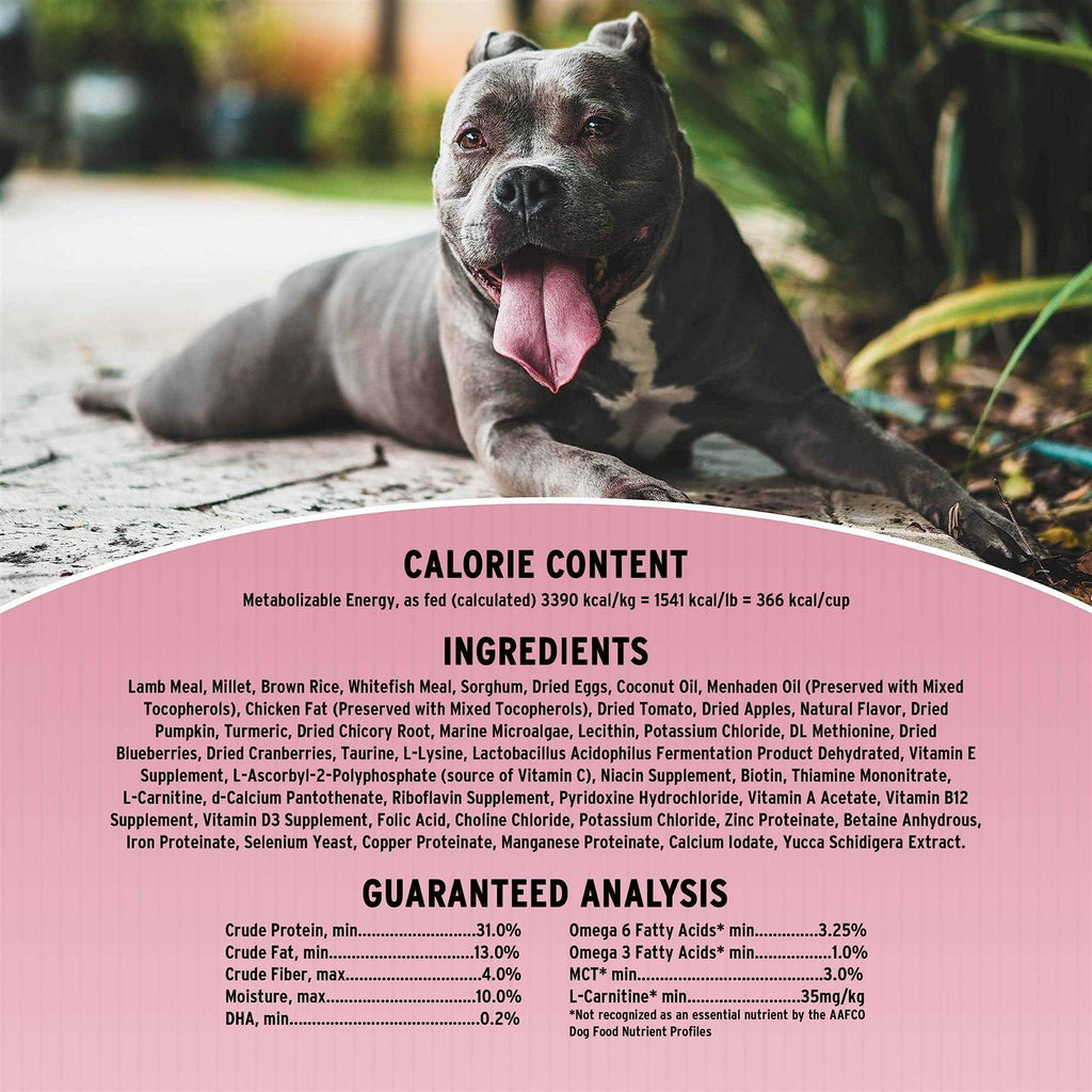 Sensitive Skin & Stomach Dry Dog Food k7p