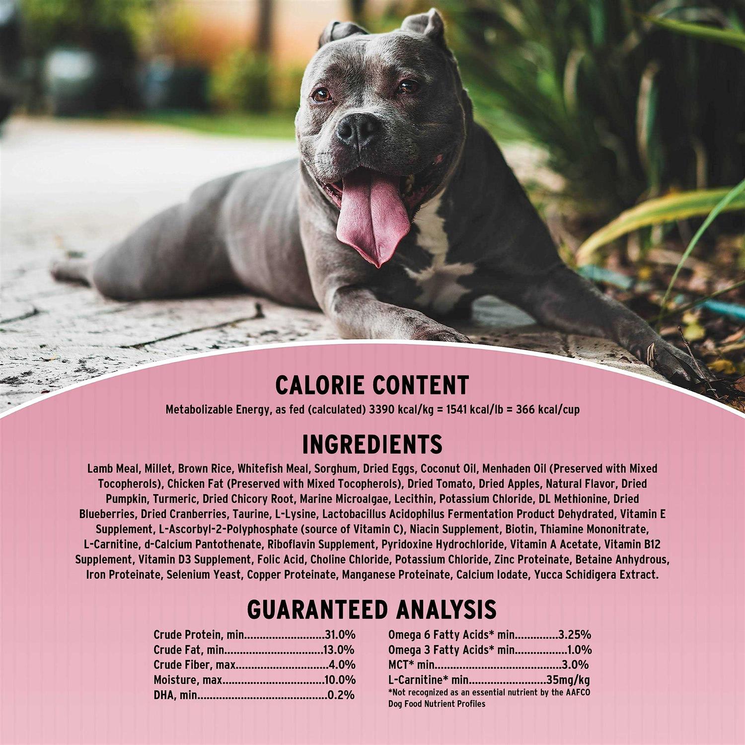 Sensitive Skin & Stomach Dry Dog Food k7p