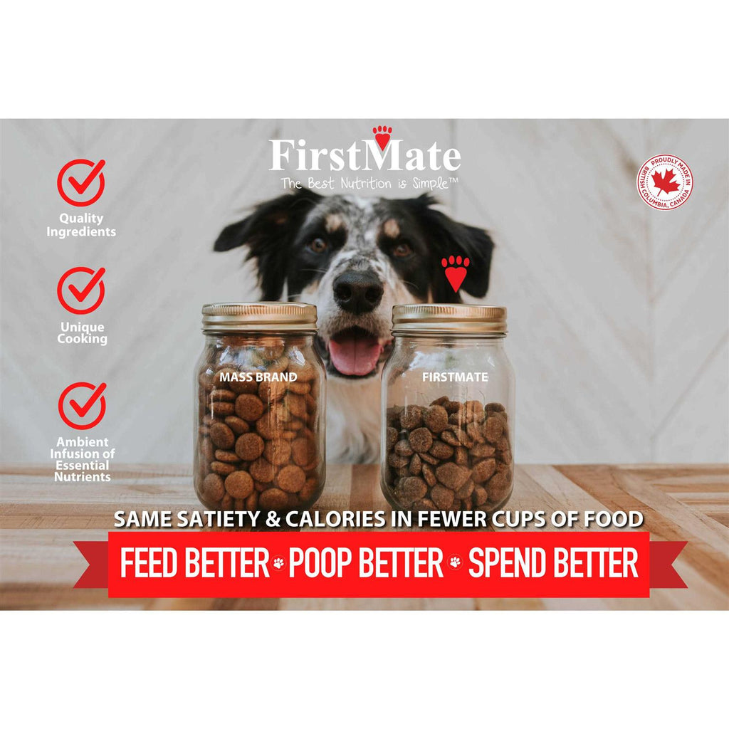 Grain Friendly Dry Dog Food for Active Dogs & Puppies k7