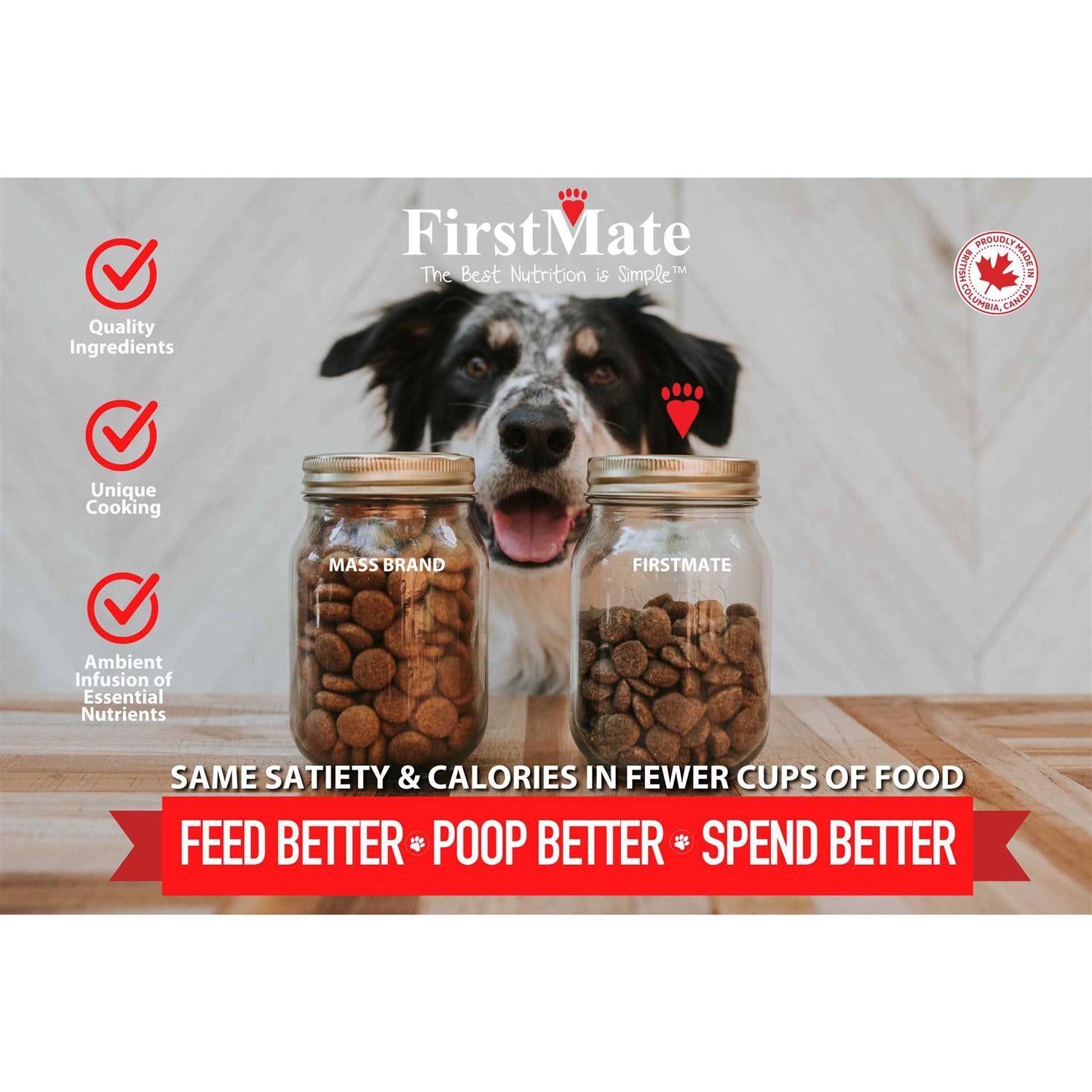 Grain Friendly Dry Dog Food for Active Dogs & Puppies k7