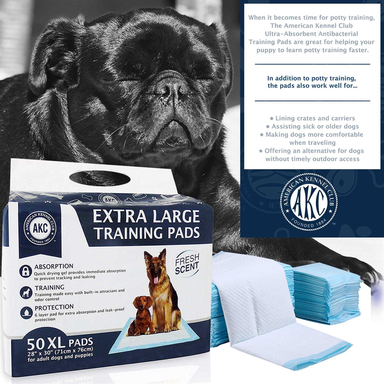 Dog Training Pads for Pets q7k