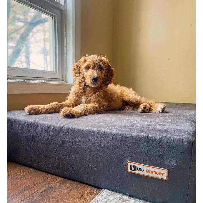 Orthopedic Dog Bed with Headrest Pillow a7