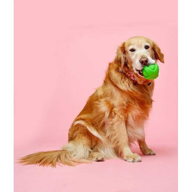 Dog Toy Ball 7k