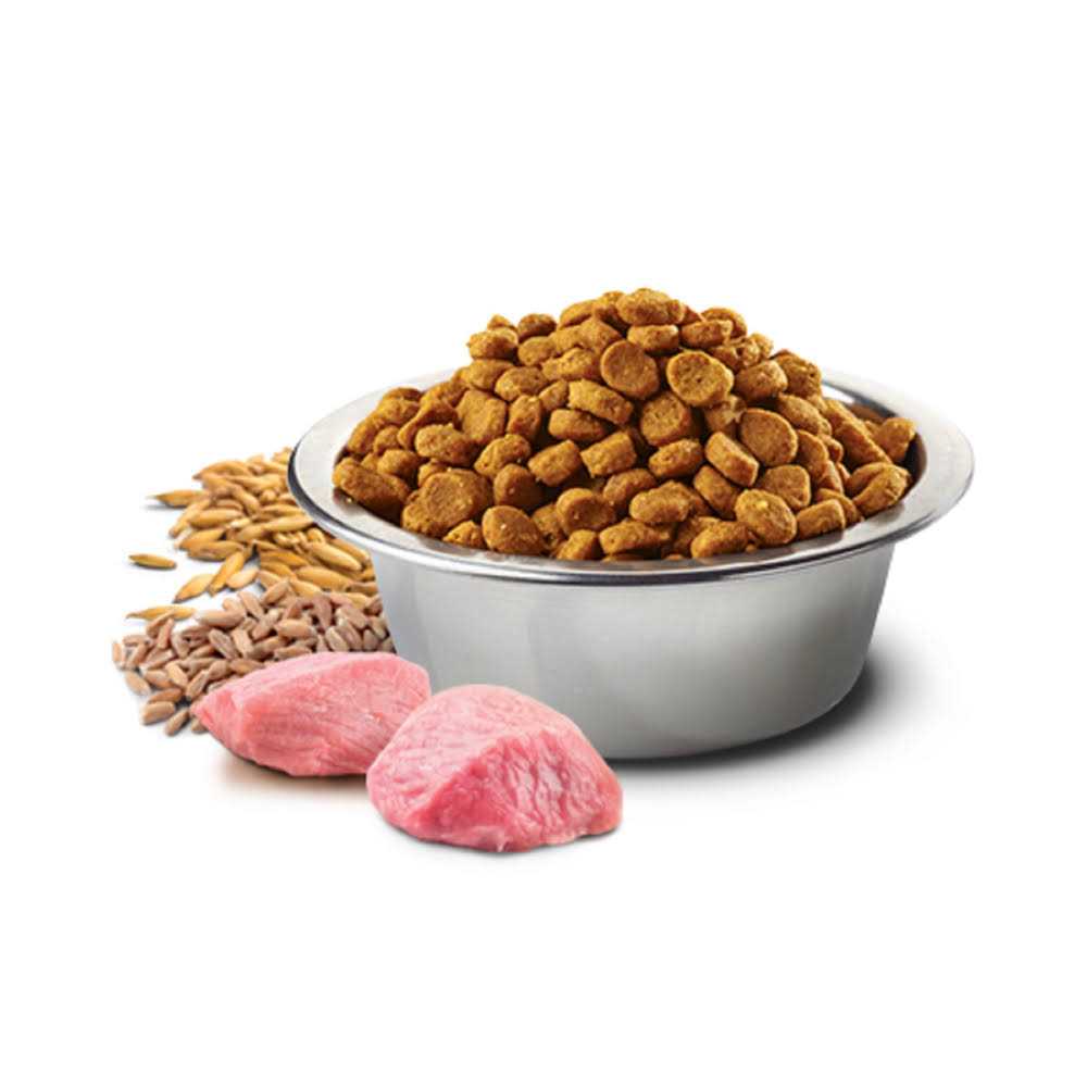 Chicken & Pomegranate Dry Cat Food k7m