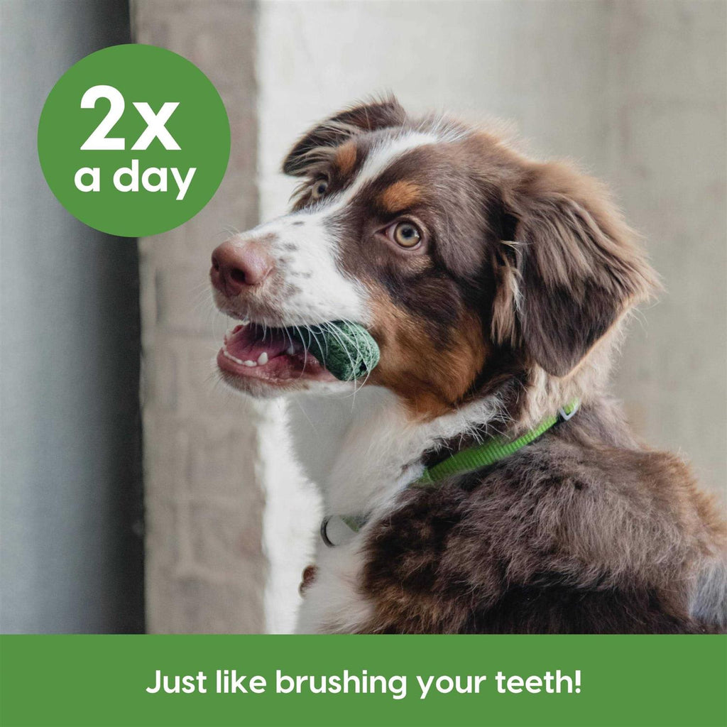 Toothpaste for Sensitive Gums q7m
