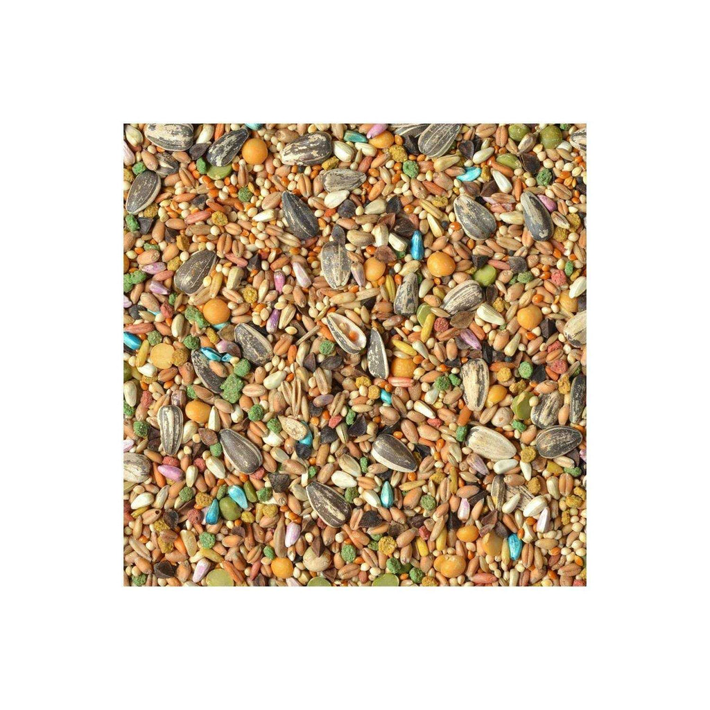 Bird Seed Blend for Medium Large Birds a7
