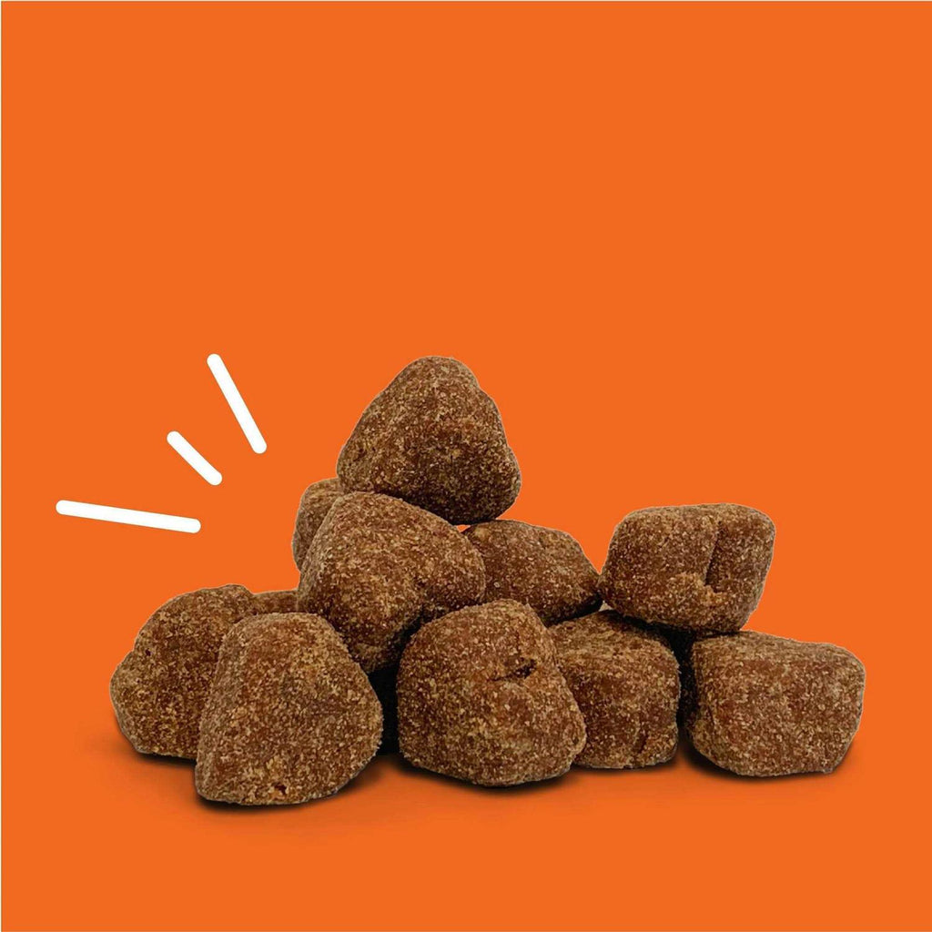 Probiotic Bites for Pets a7