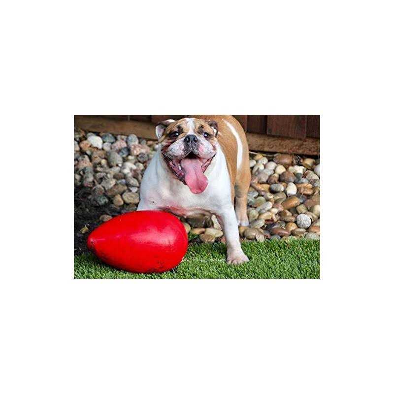 Pet Egg Toy a7