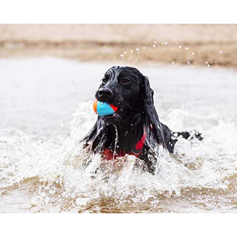 Squeak Ball for Dogs 7k