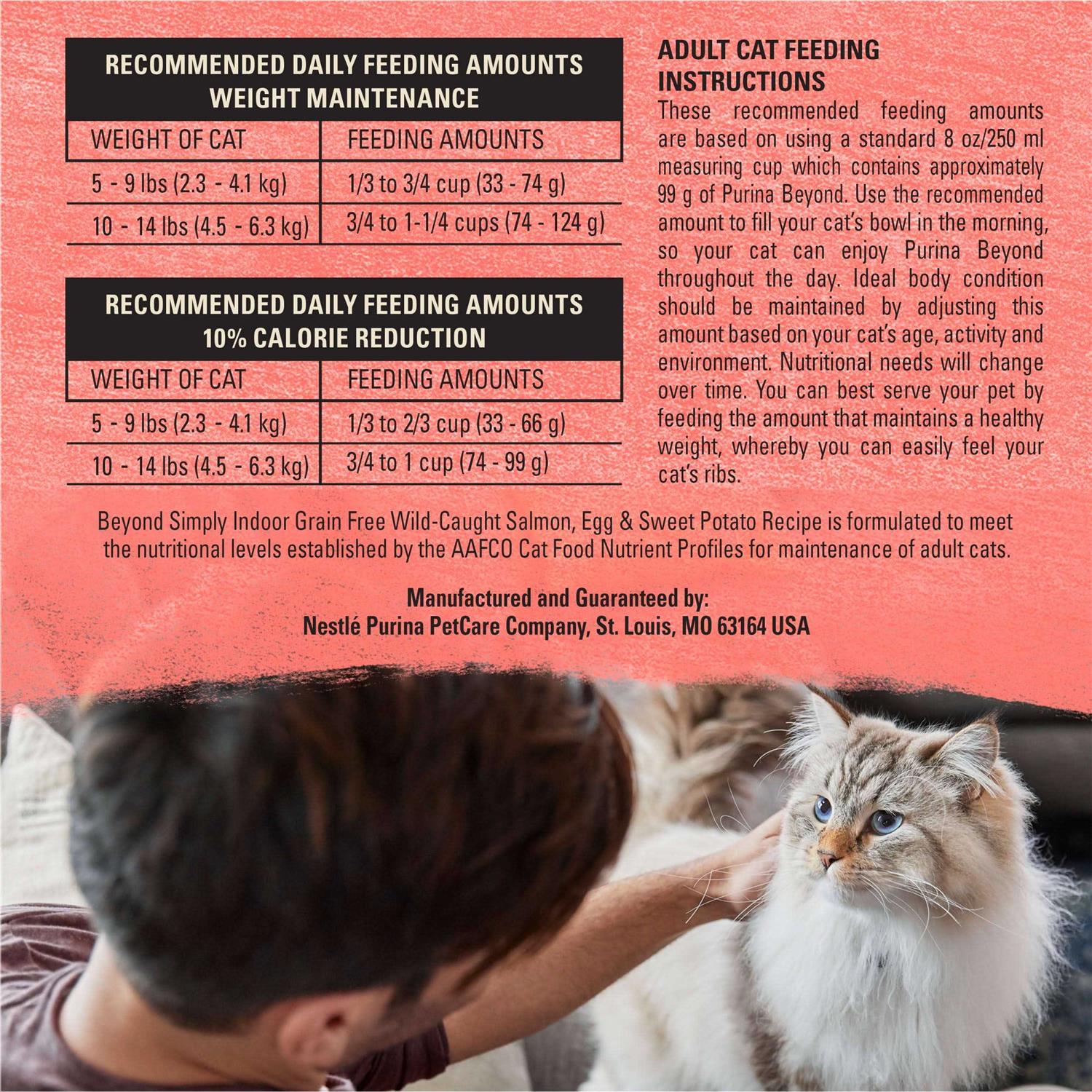Dry Cat Food Indoor Salmon Salmon Recipe a7