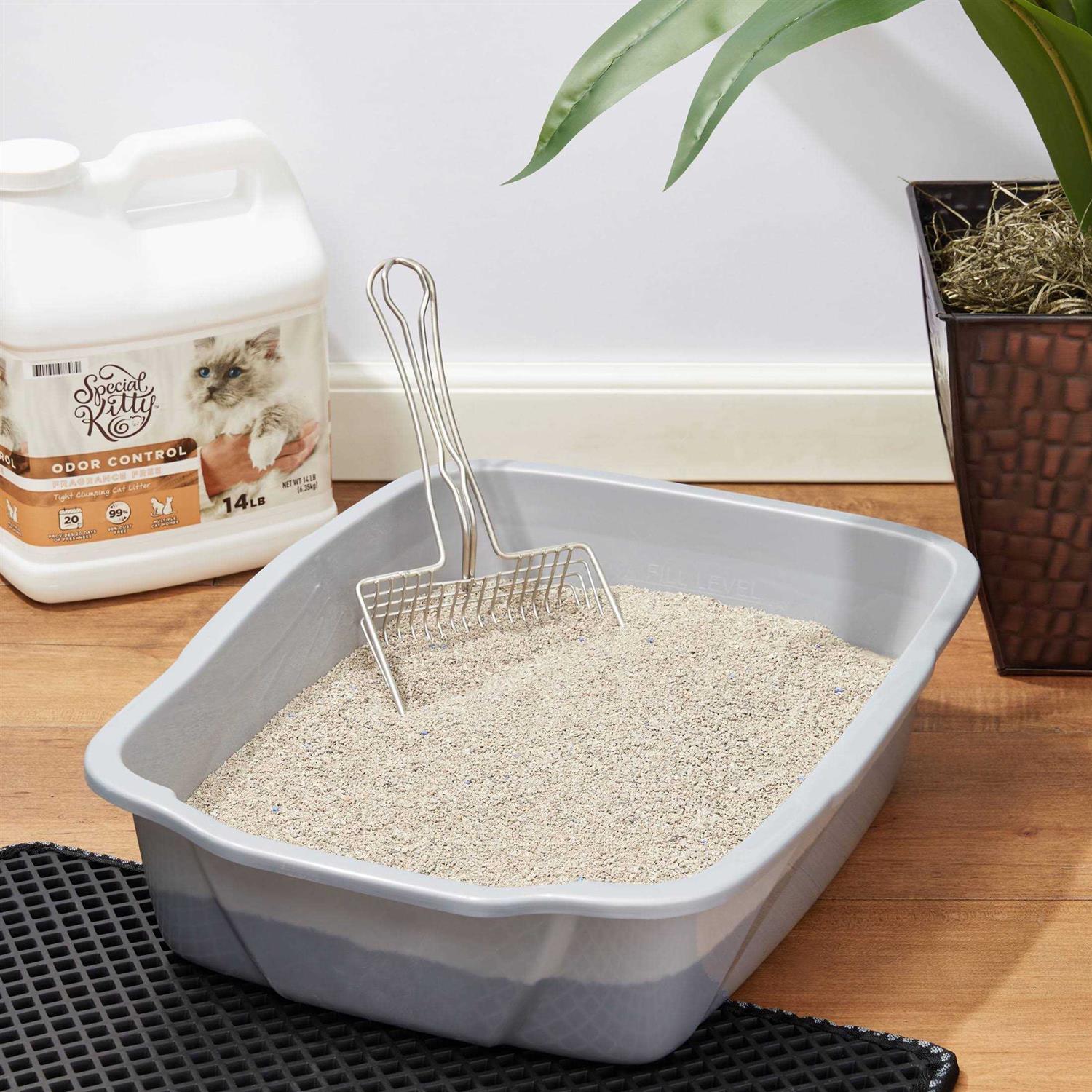 Odor Control Clumping Cat Litter k7p