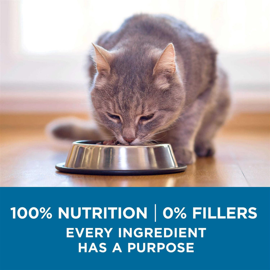Senior Dry Cat Food 7+ a9