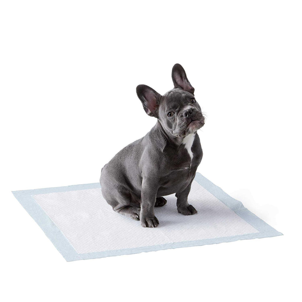 Dog Pee Pads 5-Layer Leak-Proof Quick-Dry Potty Training a7