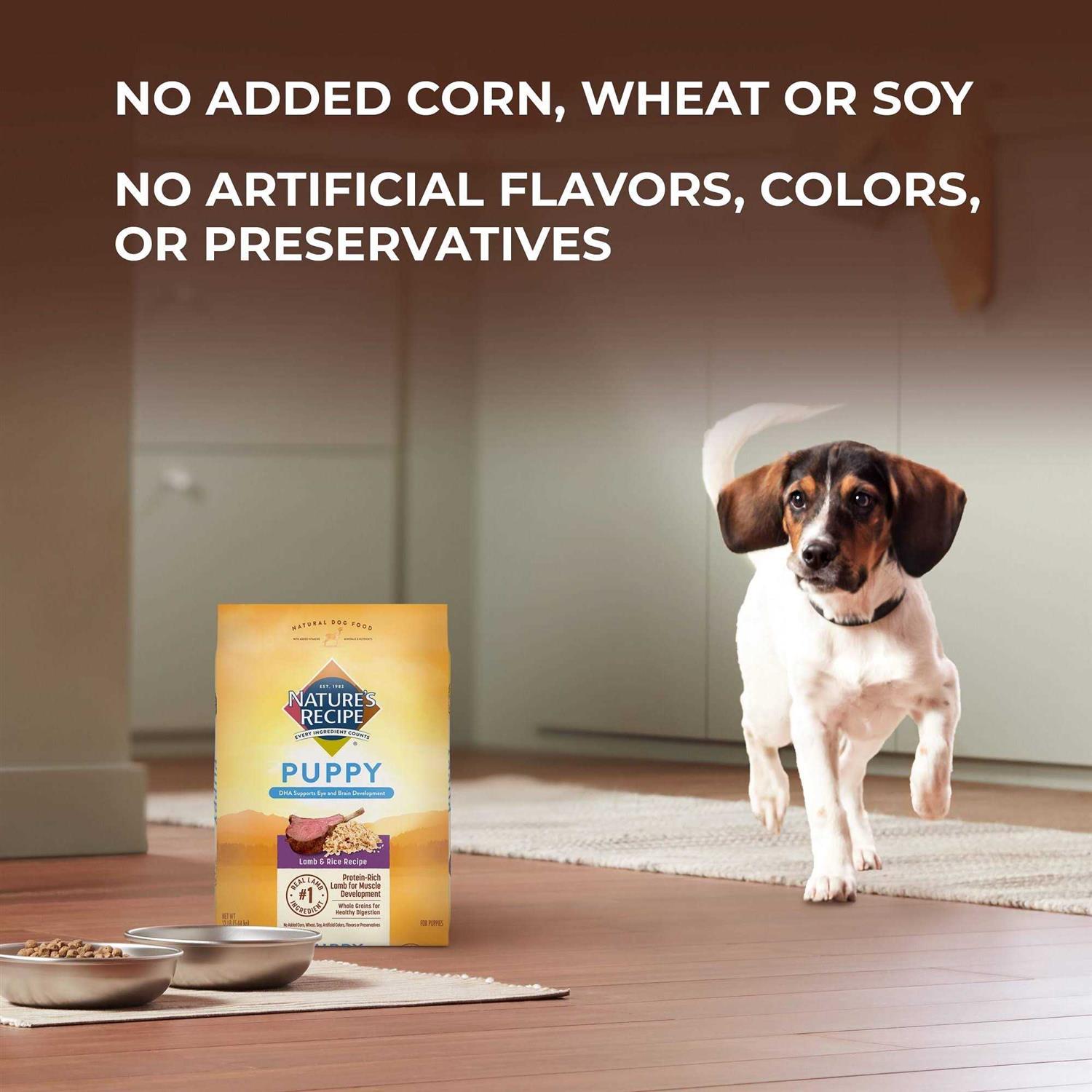 Dry Dog Food Lamb & Rice k7m