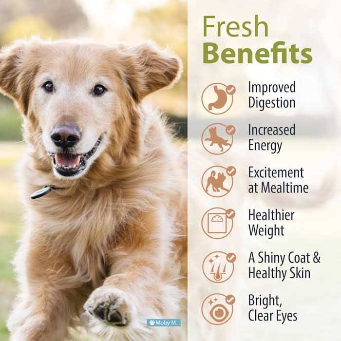Renal Support Low Protein Diet Pet Food a7