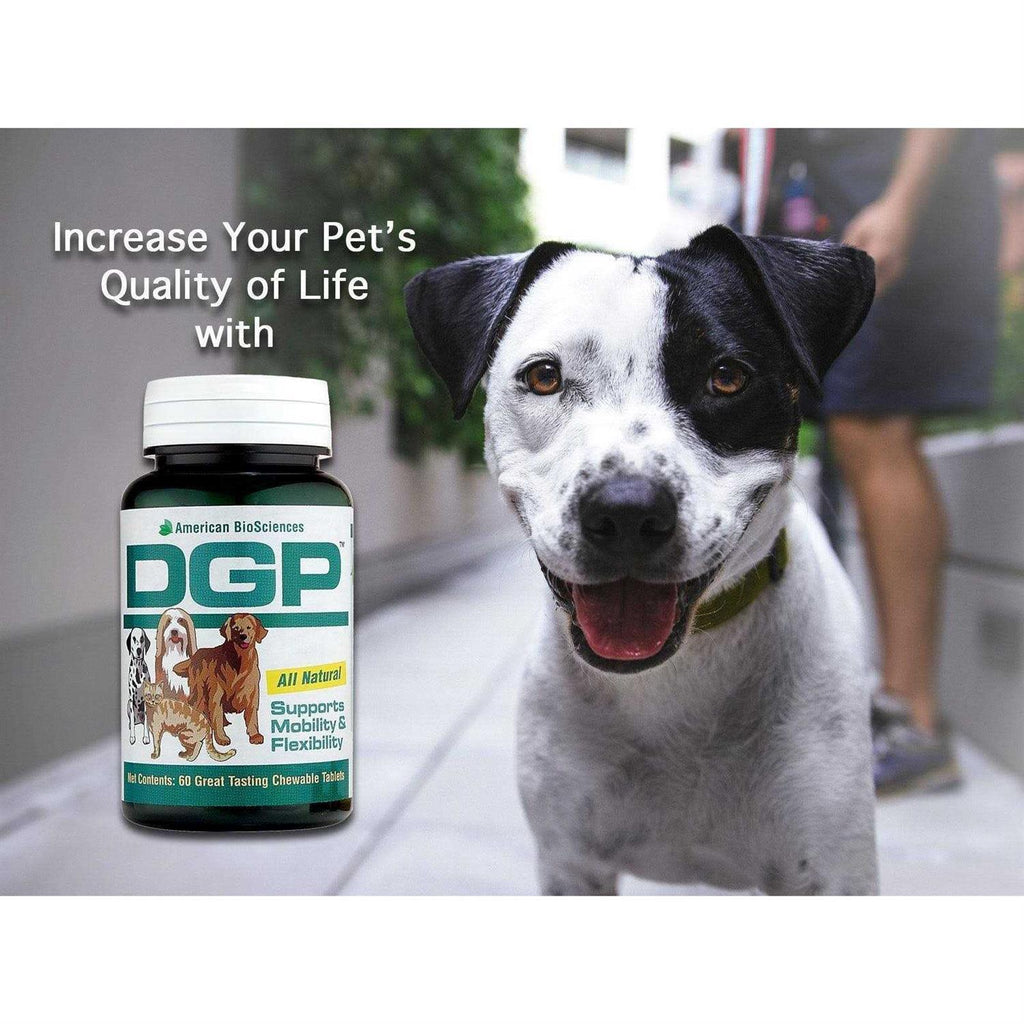 Pet Digestive Support Supplement a7