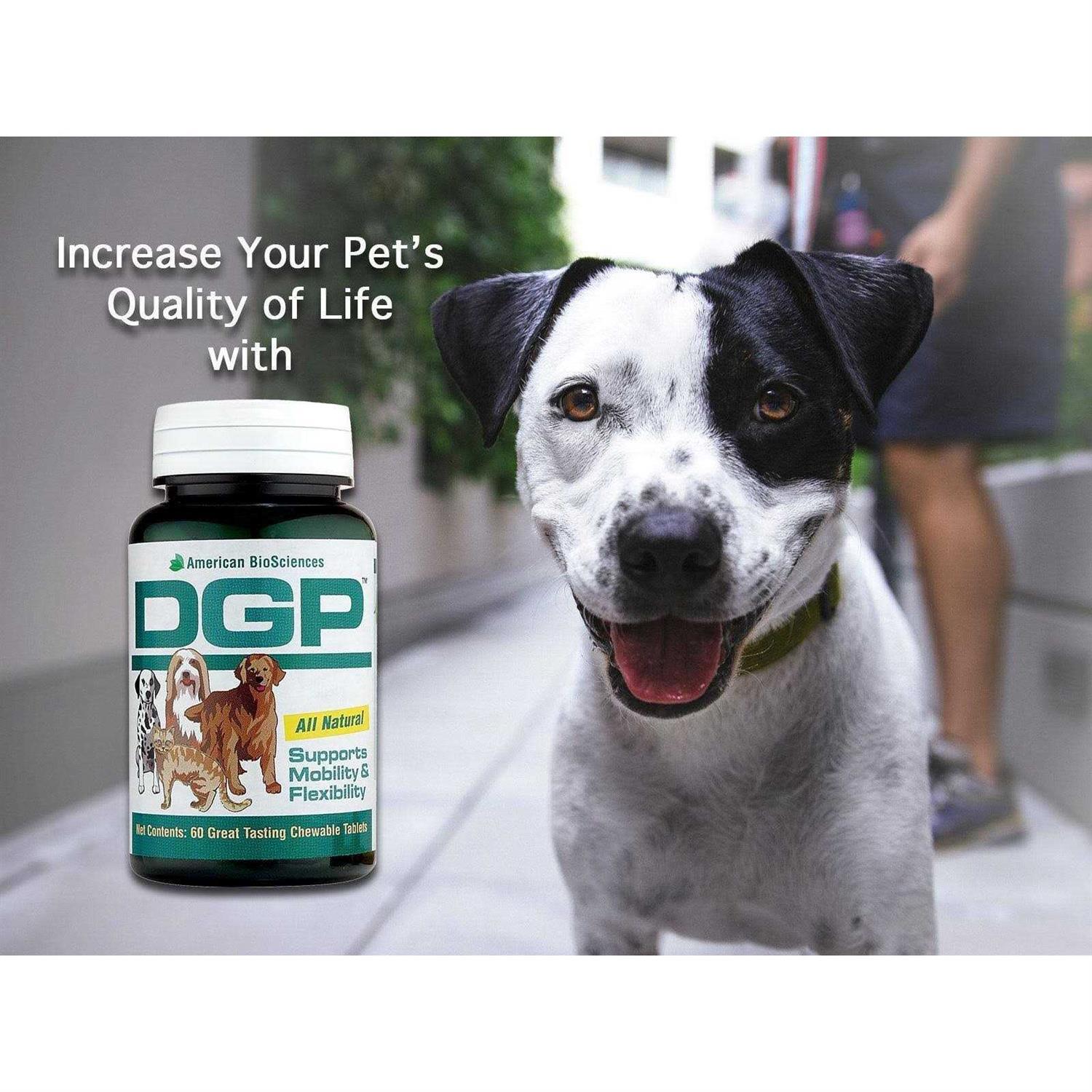 Pet Digestive Support Supplement a7