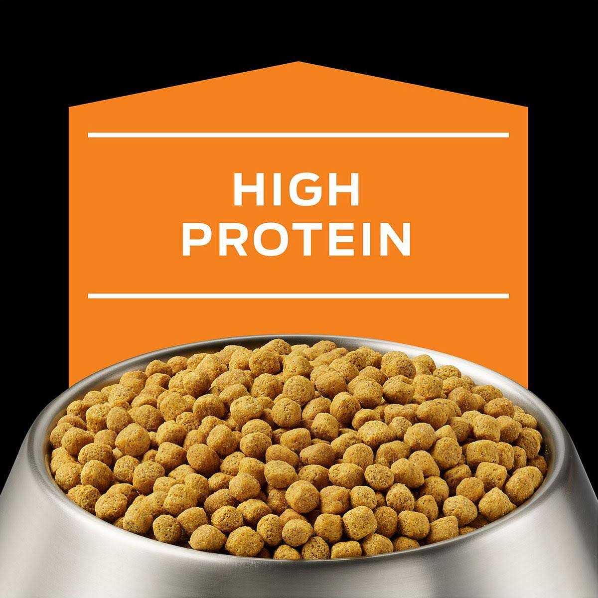 Dry Dog Food for Weight Management f7