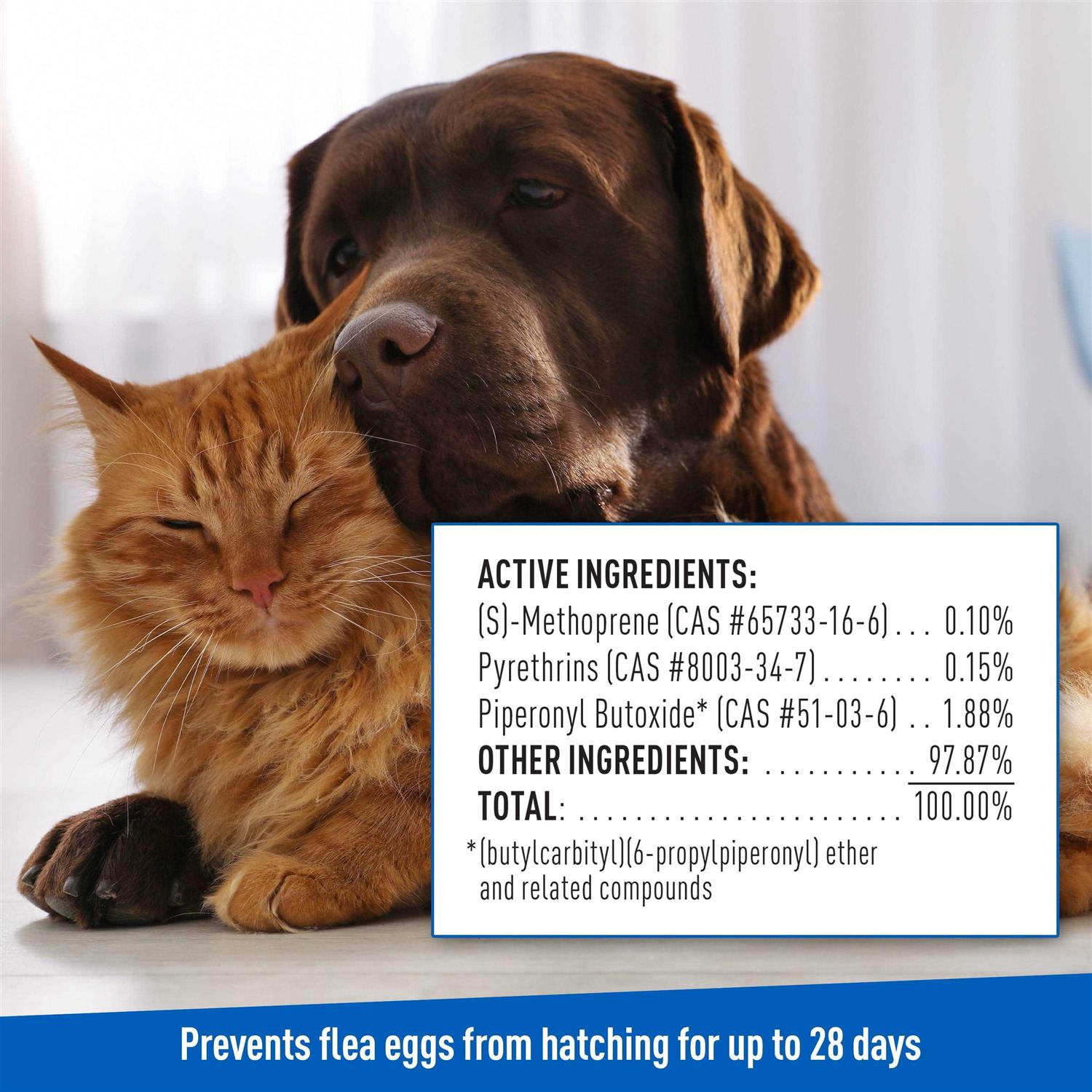 Flea Tick Shampoo for Dogs Cats k7m
