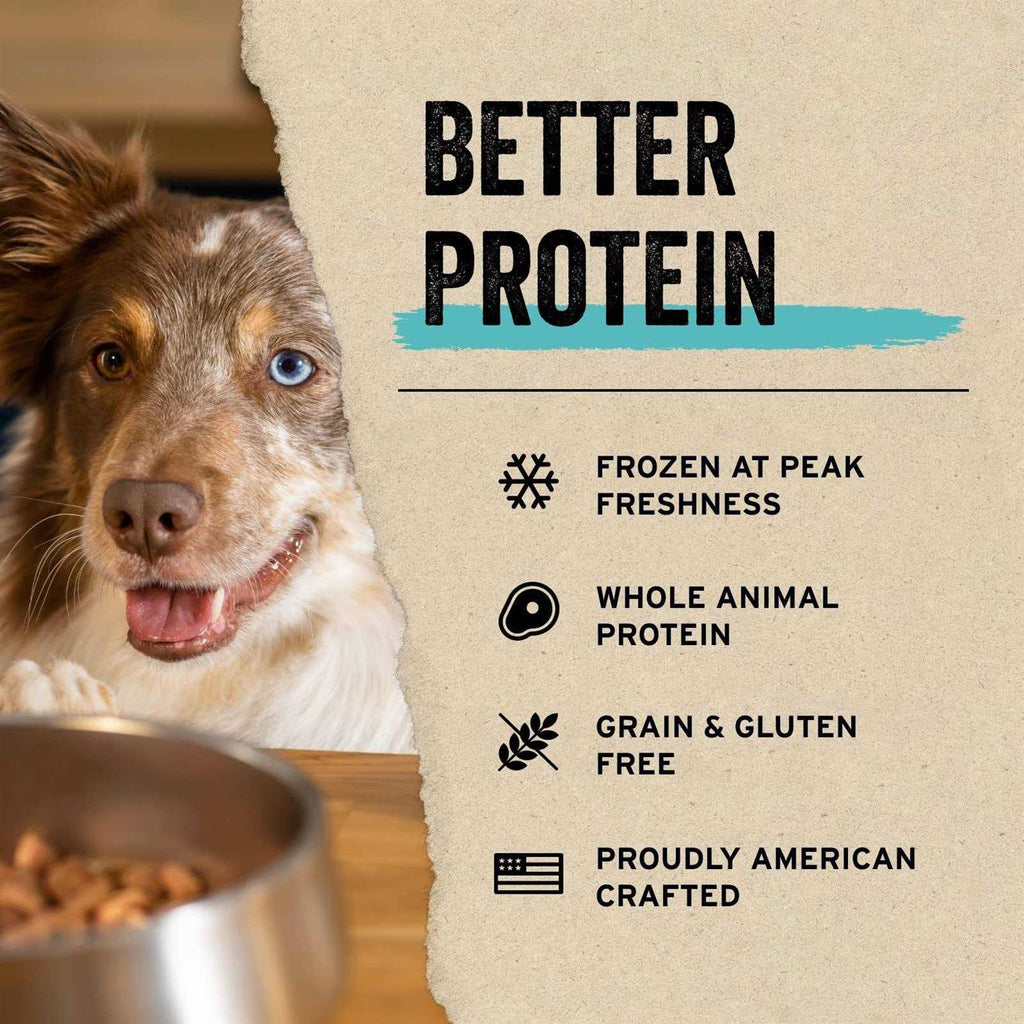 Freeze Dried Beef Bites Dog Treats k7p