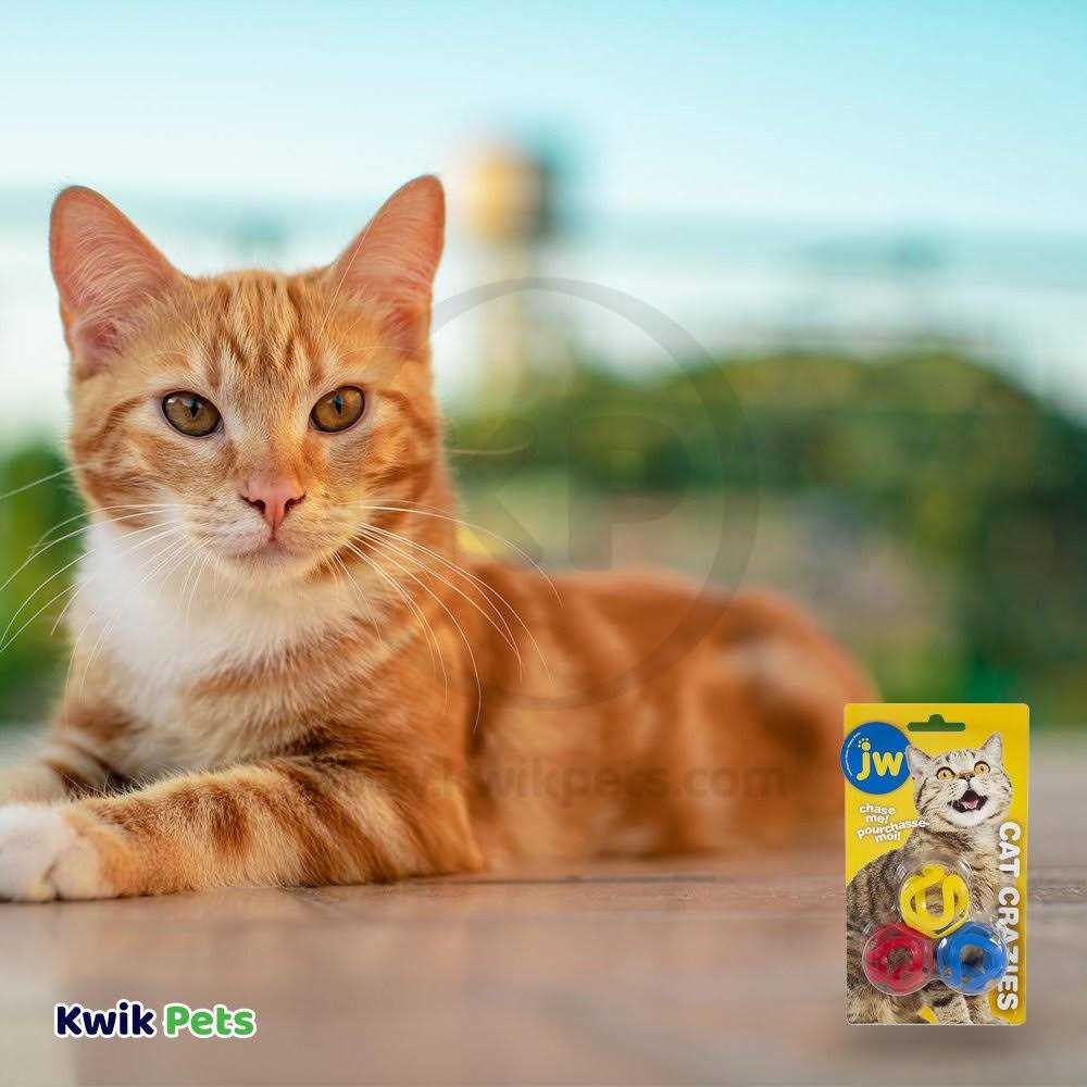 Cat Toy 7k