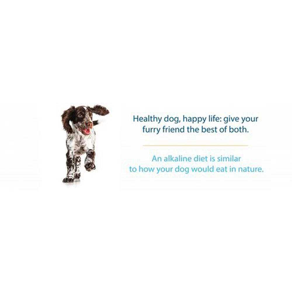 Dry Dog Food All Life Stages Alkaline Entree k7p