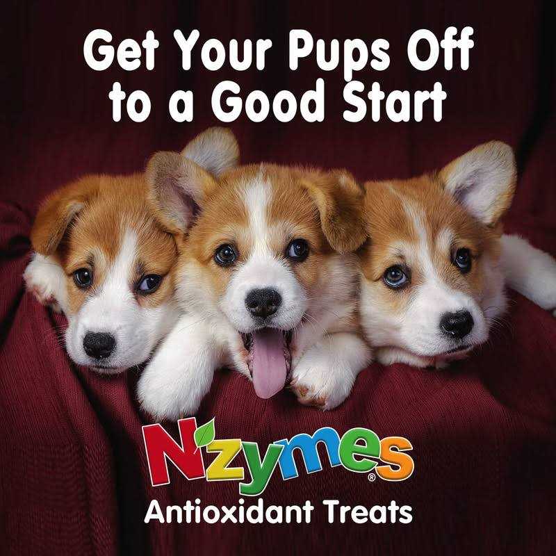 Antioxidant Treats for Pets k7q