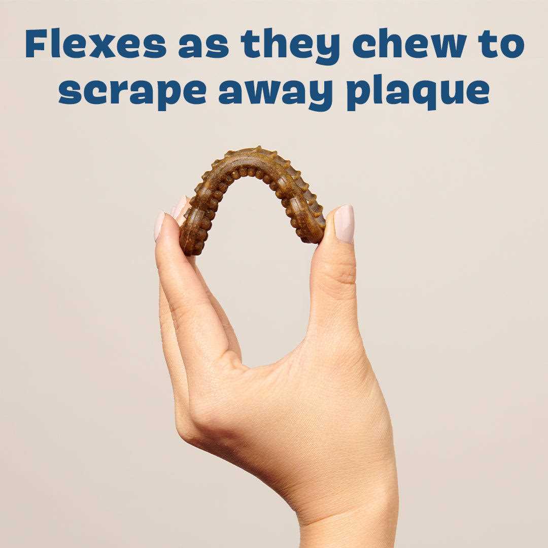Durable Dog Dental Chews Long Lasting a7