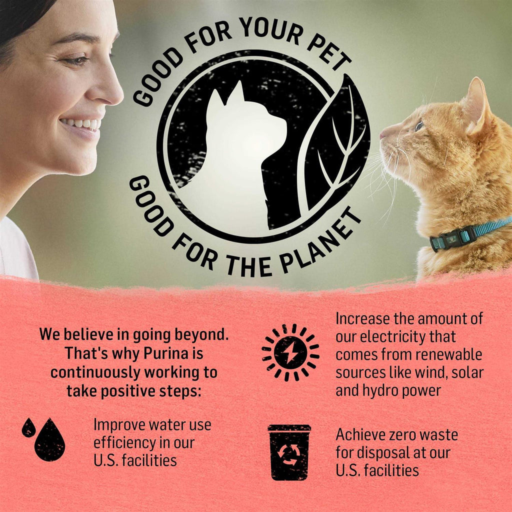 Dry Cat Food, Grain-Free Recipe k7m