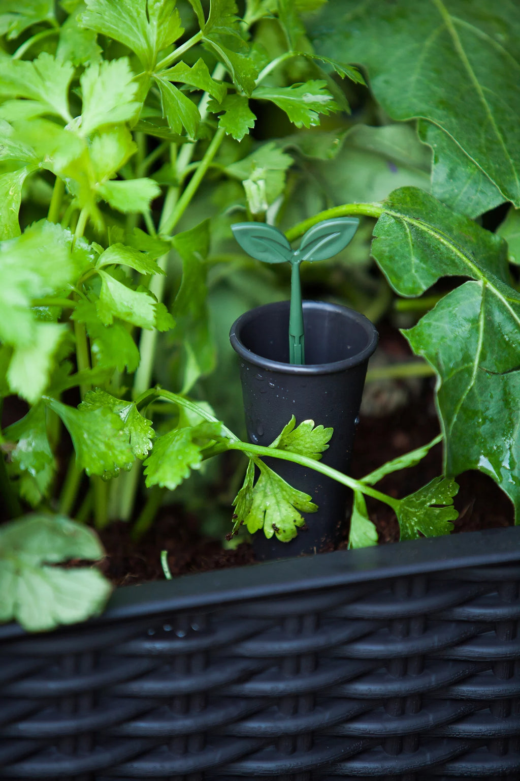 Elevated Garden Bed Anthracite a7