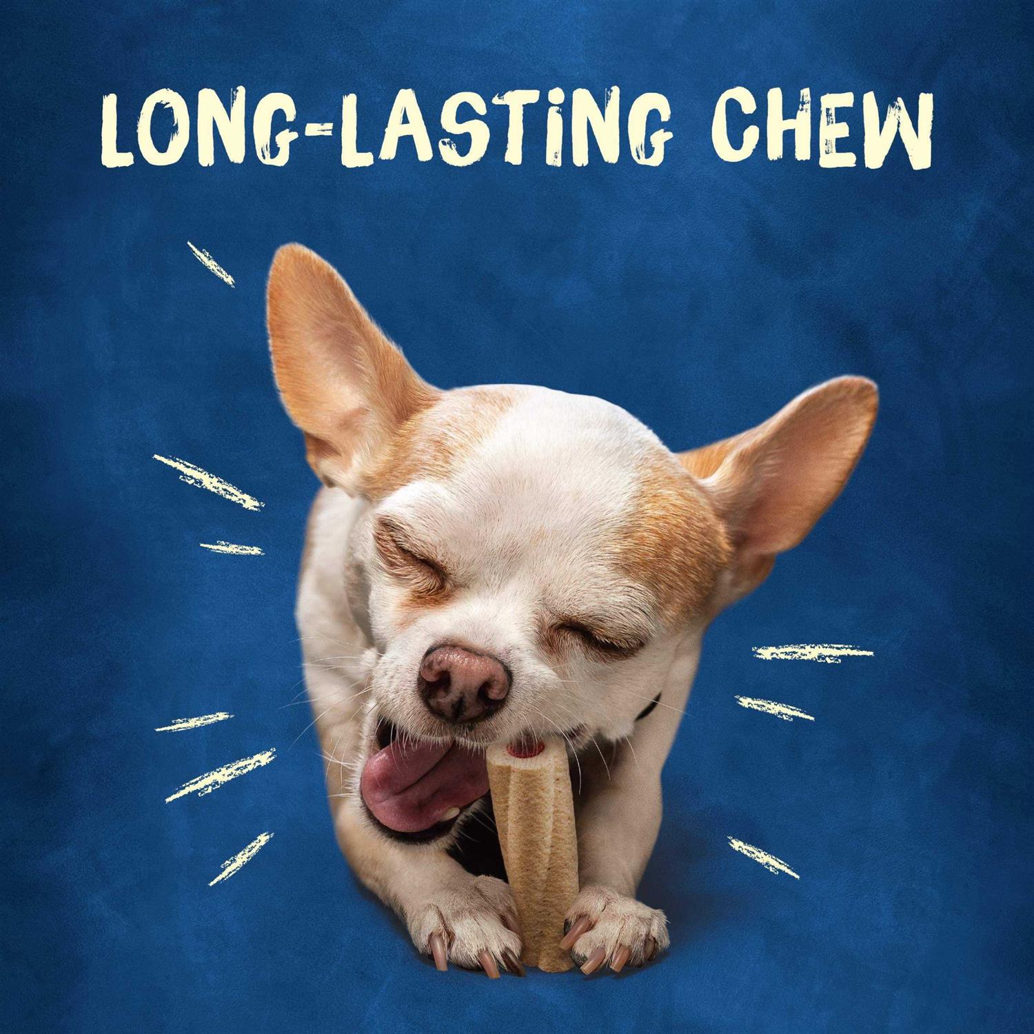 Dog Treats for Tiny Dogs a7