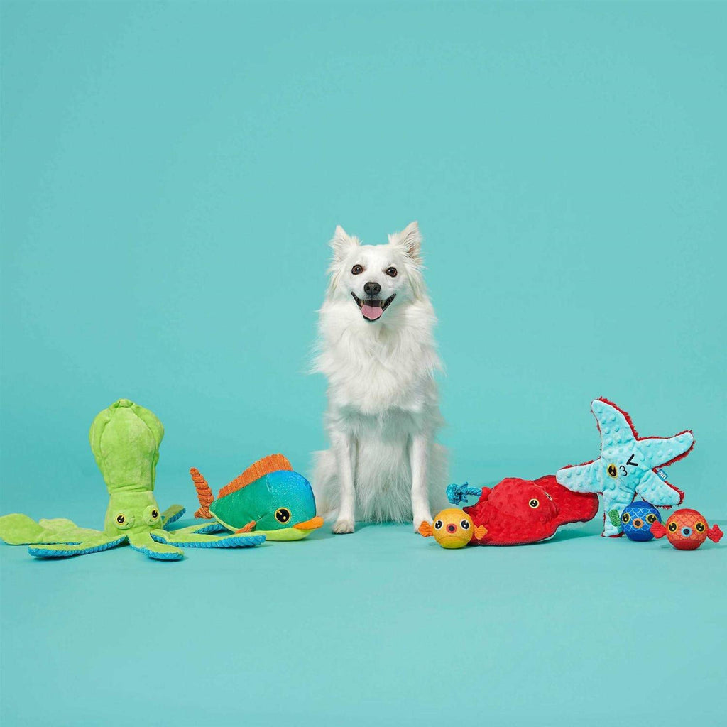 Dog Toy for Pets k7m
