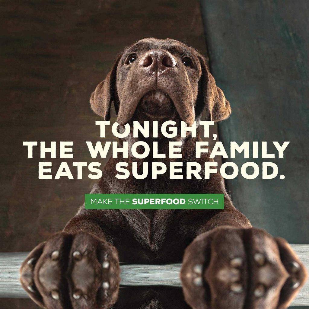 Grain Free Sweet Potato Recipe Dog Food k7m